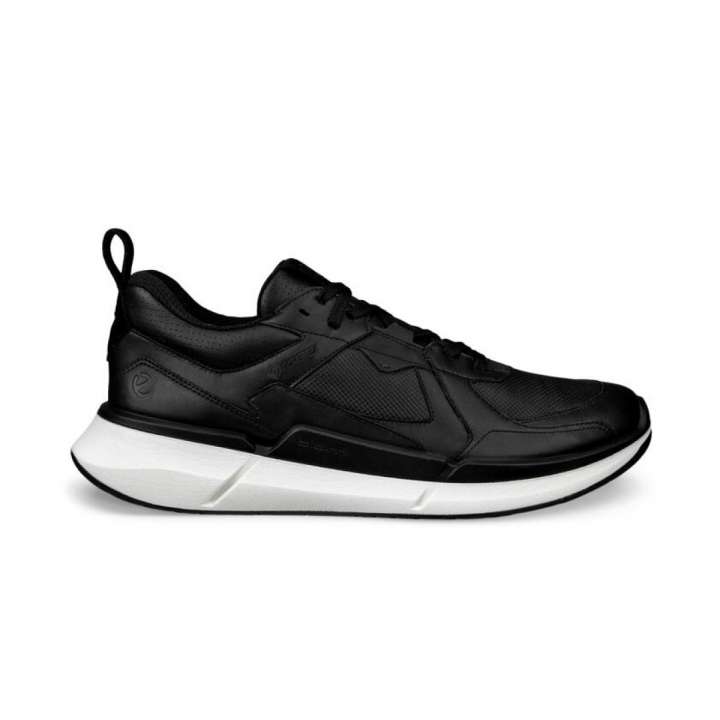 Priser på Ecco Biom 2.2 Gore-Tex Læder Herresko