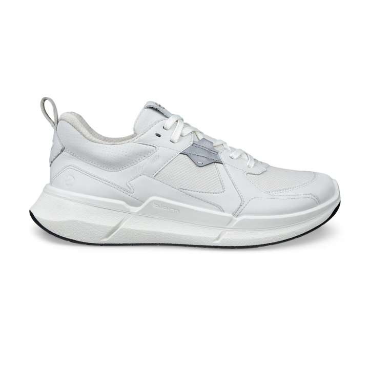 Priser på Ecco Biom 2.2 Læder Gore-Tex Damesko
